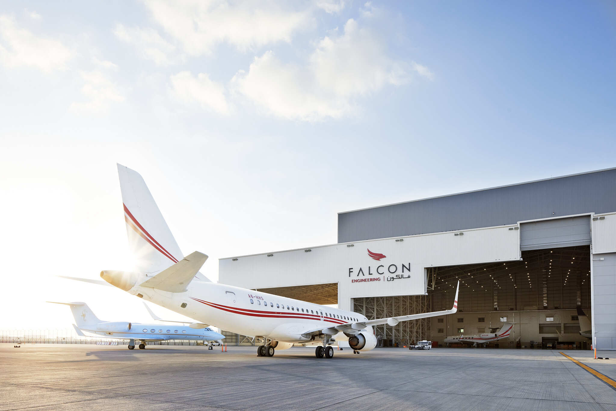 Falcon Aviation    -